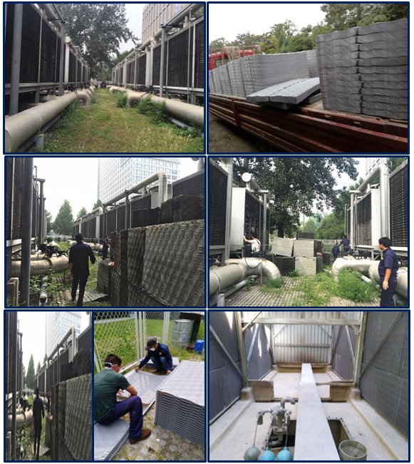 m.t4259.cn
